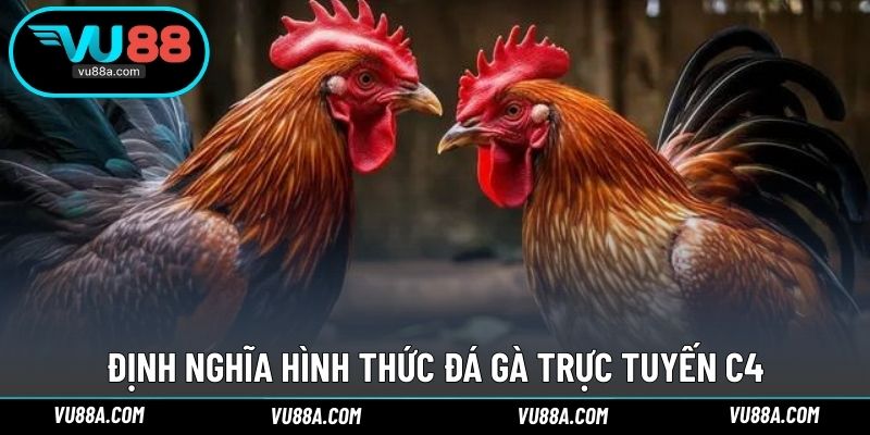Định nghĩa hình thức đá gà trực tuyến C4