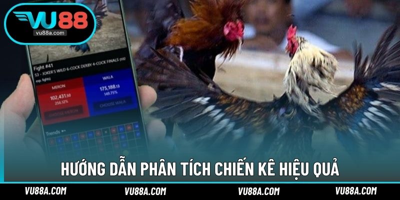 Hướng dẫn phân tích chiến kê hiệu quả