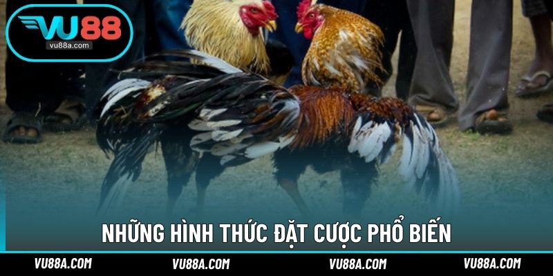 Những hình thức đặt cược phổ biến